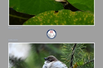 Kolory młodości - wystawa gościnna w MBP